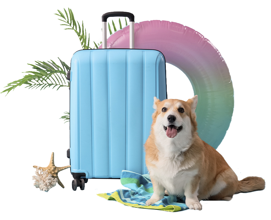 Hund mit Koffer und Schwimmreifen