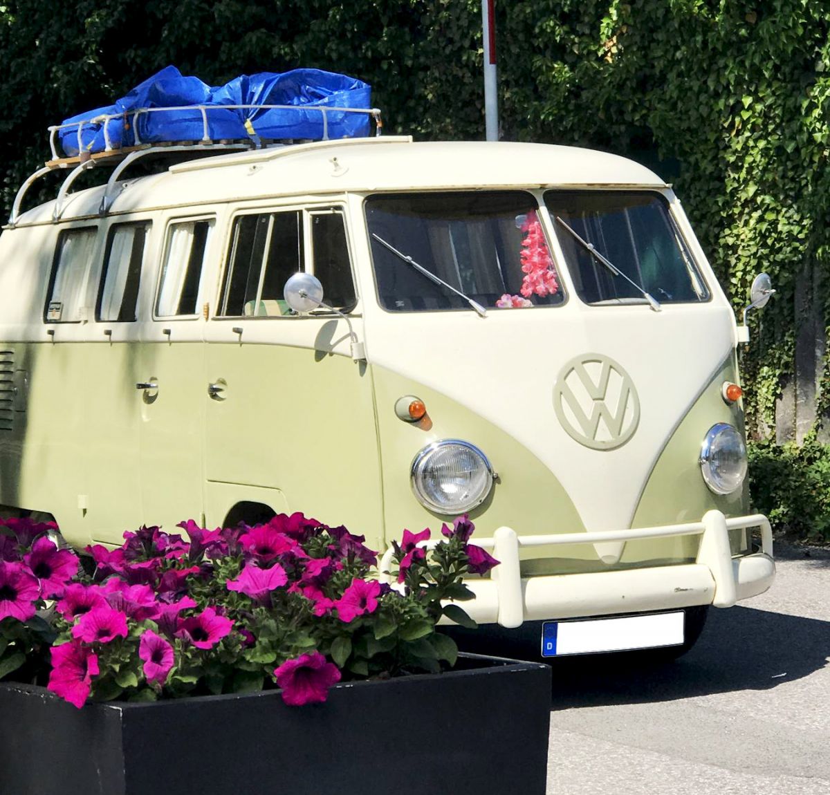 Stellplätze Reisecamping